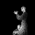 flamenco (74)
